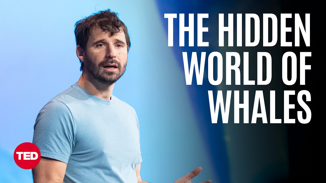 A Whale’s-Eye-View of the Ocean | Eric Stackpole | TED
