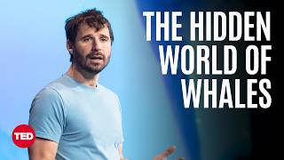 A Whale’s-Eye-View of the Ocean | Eric Stackpole | TED