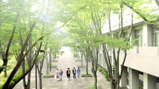 SHINee - Sing Your Song ❤