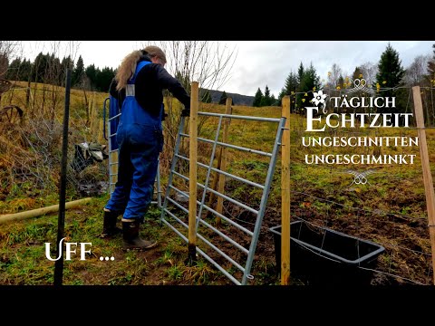 Echtzeit👩‍🌾Wenn nichts funktioniert ... So kann es auch gehen. Nicht wie geplant ... SlowTV