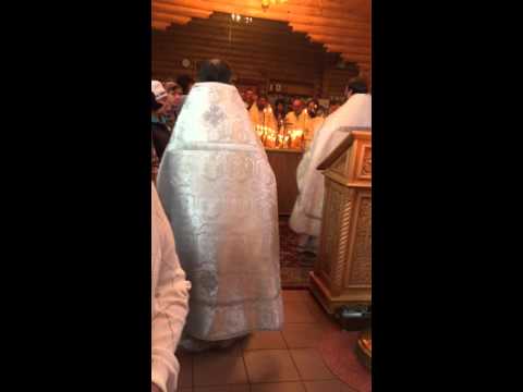 Богоявленский храм с. Жаворонки 7.11.15 018