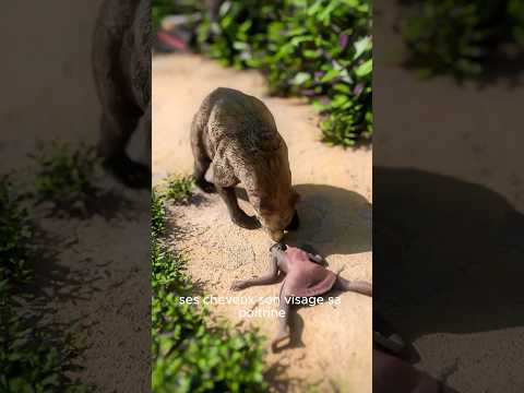 Les Deux Amis Et L’ours