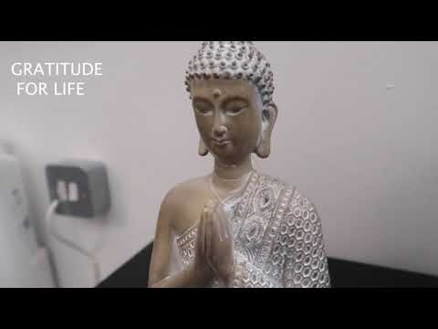 STUDIO DIARY - SharnaCane