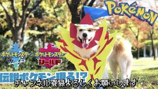 【神曲】「ポケモン剣盾ジム戦」