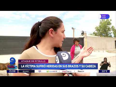 Habló el dueño de la empaquetadora donde los perros pitbull atacaron a un hombre en Las Heras