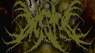 Digested - Entangled In Entrails