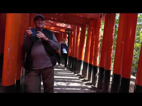 Exploring Japan’s Bamboo Forests & Sacred Shrines – Hidden Temples, Zen Moments & Nature Walks