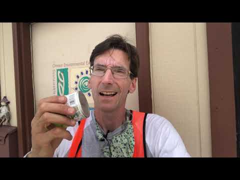 Wasteless Wednesday - What Cat Products Are Recyclable?