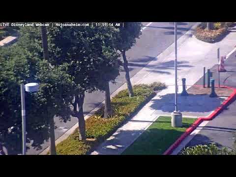 Live webcam of Disneyland Cam