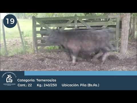 Lote M Y H - Pila Bs As