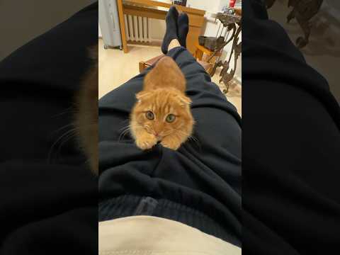 Серьезный разговор