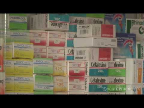 Malaria: an introduction