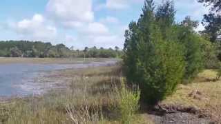 preview picture of video '2.95 acres Residential Waterfront Property Lot near Charleston, SC'