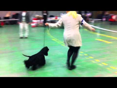 Patrik og Bente, NSK Telemark, 1. jkk