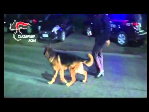 Roma, i Carabinieri arrestano 10 persone appartenenti alla famiglia Spada