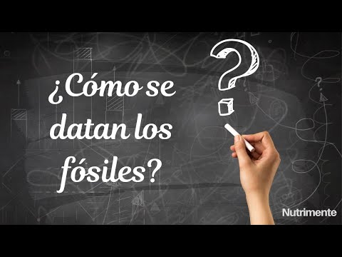 How do you know how old a fossil is?