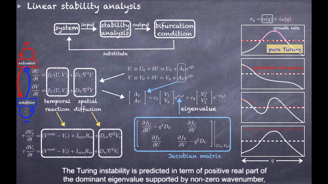 [Neuroscience - Cortical Modelling] Linear Stability Analysis