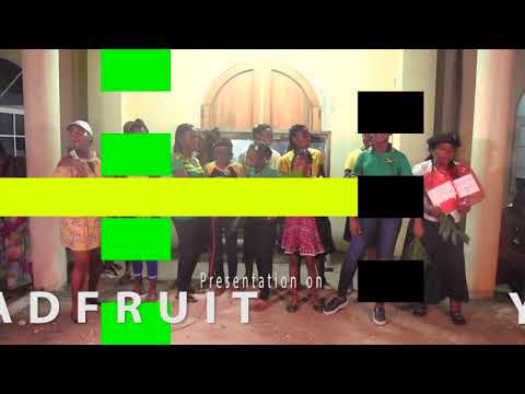 Granville SDA Jamaica Night