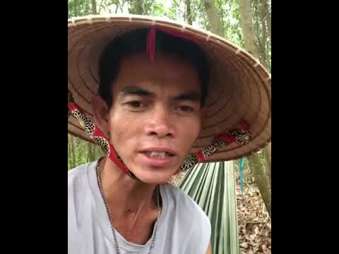 40 41 42 43 song by soytiet the best song of 2020