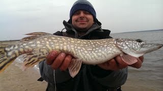 Водоемы минской области на которых запрещен троллинг