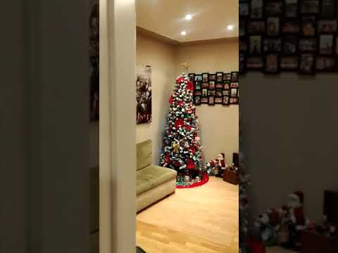 Αρχείο βίντεο WhatsApp 2023 01 11 στις 09 48 23