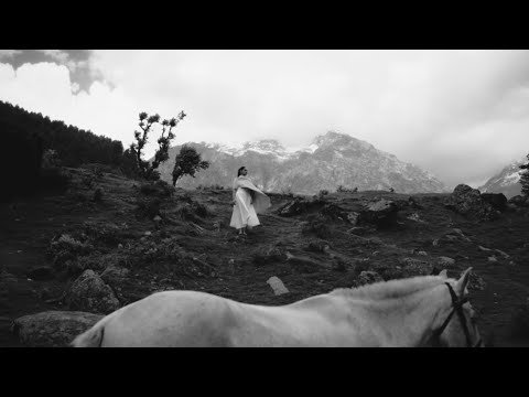 Dida zeb FT — watch video