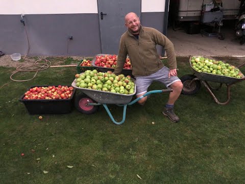 Apfelsaft komplett selbst pressen und haltbar machen