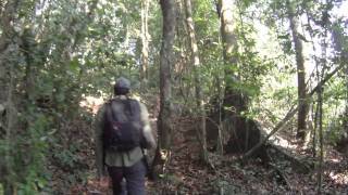 preview picture of video 'Hiking Back From Tambopata Colpa'