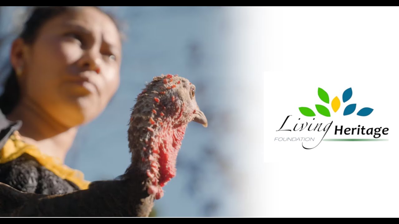 Living Heritage Foundation video