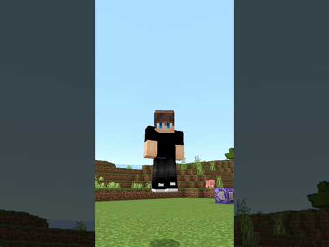 Ultimate Minecraft Tips You Can't Miss #viral