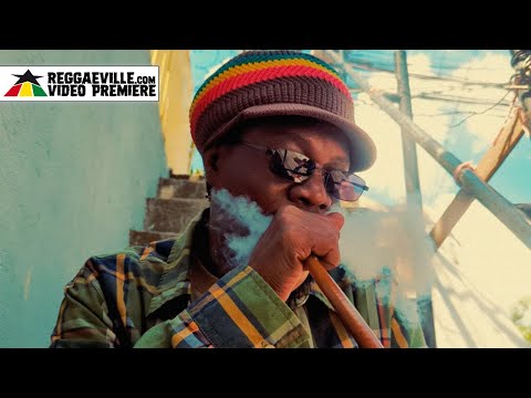 Mark Wonder - Power for the People [Official Video 2023]