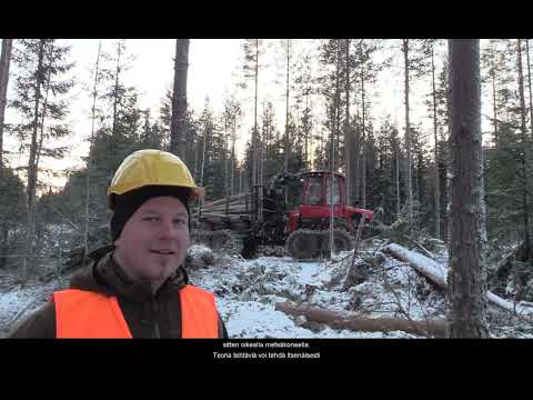 Koneellinen puunkorjuu -koulutuksesta