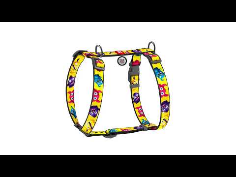 Шлея для собак анатомическая H-образная WAUDOG Nylon с QR-паспортом, рисунок "Калина", пластиковый фастекс, L, - фото 1 - id-p2197601282