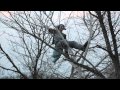 CocoRosie - Gravediggress (Official Video) 