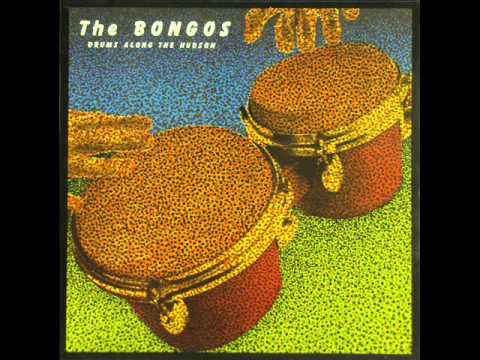 The Bongos- The Bulrushes (studio 1982)