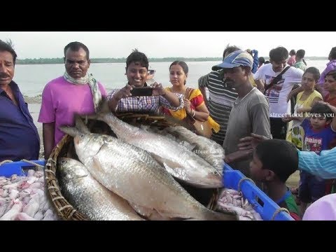 Fish Market Digha Mohona (Rui, Katla, Ilish, Pomfret, Lote ) | Street Food Loves You Video