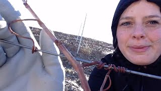 A day in my life working on a Spanish Vineyard | WORKAWAY EXPERIENCE