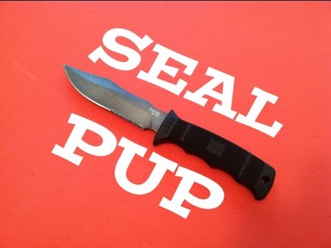 SOG Seal Pup Knife Review: One for the Hall of Champions