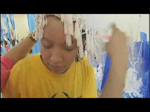 New Total English. Elementary. Video 8. Carnival
