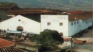 preview picture of video 'Bodega Cooperativa La Viña - 2009 - 87 Día Mundial del Cooperativismo.'