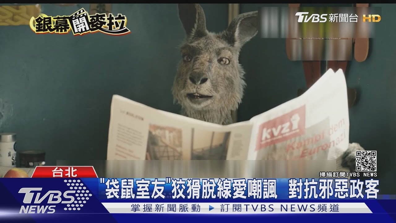 萌翻影院!《袋鼠室友》對抗壞政客 《比得兔兔》療癒登場