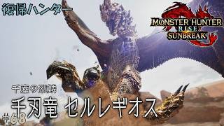 #68 【復帰ハンター】モンスターハンターライズ 実況プレイ