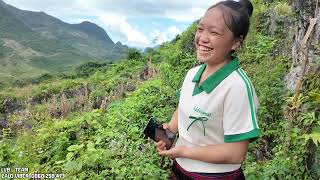 LVB & EM MY Got Lost In The Forest And Almost Had To Stay Overnight | Linh Van Be Team
