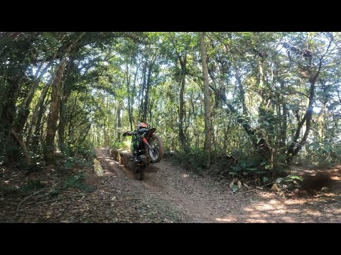 15/08/2024, aquele role resenha na trilha do verde.