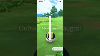 Wild shiny dubwool