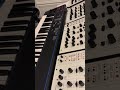 THX Intro Deep Note Oberheim 4vs SEM Pro Portamento Sweeps At End