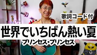 世界でいちばん熱い夏 / プリンセス プリンセス ギター弾き語り カバー【歌詞コード付】