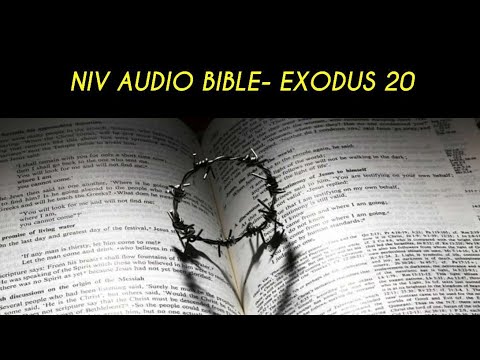 EXODUS 20 NIV AUDIO BIBLE (with text)