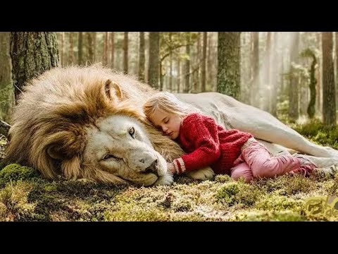 Libaax ayaa Badbaadiyay noolasheeda Iyo Yeey