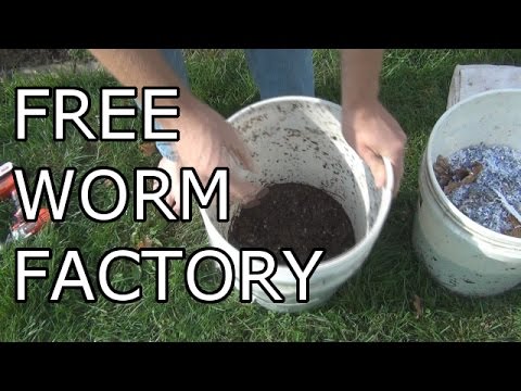 How to build a FREE Worm Factory for Vermicomposting